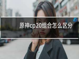 原神cp 组合怎么区分