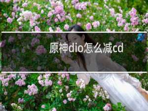 原神dio怎么减cd