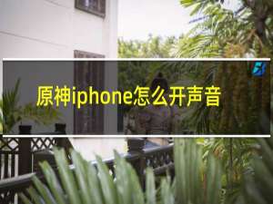 原神iphone怎么开声音