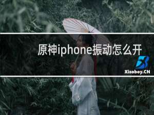 原神iphone振动怎么开