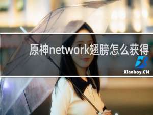 原神network翅膀怎么获得