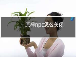 原神npc怎么关闭