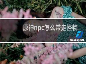 原神npc怎么带走怪物