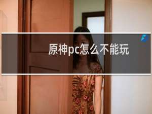 原神pc怎么不能玩