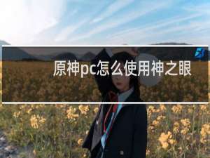 原神pc怎么使用神之眼