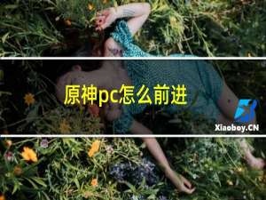 原神pc怎么前进