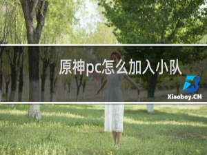 原神pc怎么加入小队