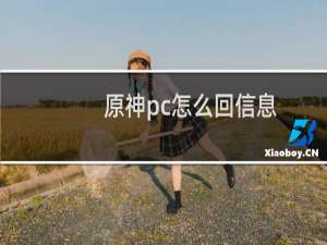 原神pc怎么回信息