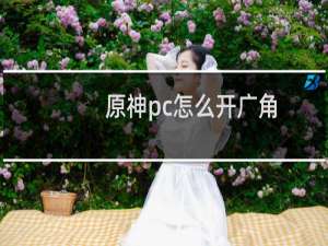 原神pc怎么开广角