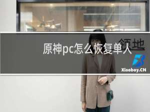 原神pc怎么恢复单人