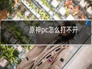 原神pc怎么打不开