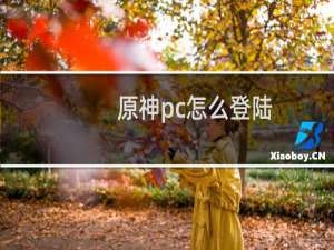 原神pc怎么登陆