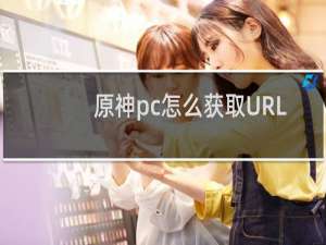 原神pc怎么获取URL