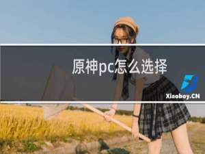 原神pc怎么选择