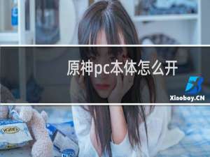 原神pc本体怎么开