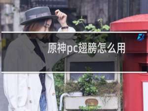 原神pc翅膀怎么用