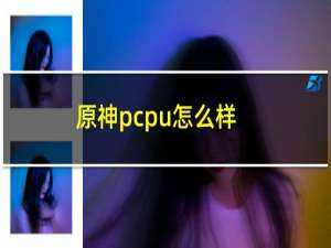 原神pcpu怎么样