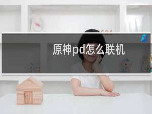 原神pd怎么联机