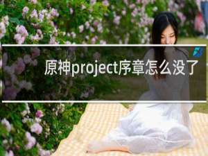 原神project序章怎么没了