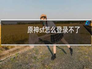 原神sf怎么登录不了