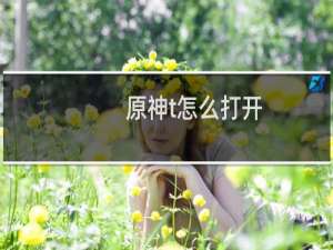 原神t怎么打开