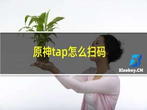 原神tap怎么扫码