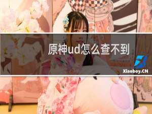 原神ud怎么查不到