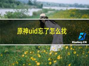 原神uid忘了怎么找