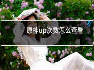 原神up次数怎么查看