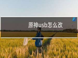 原神usb怎么改