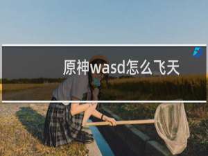 原神wasd怎么飞天