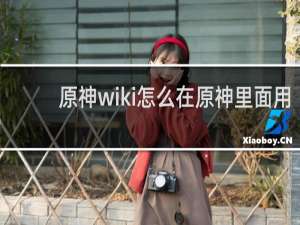原神wiki怎么在原神里面用