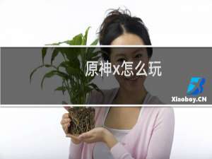 原神x怎么玩