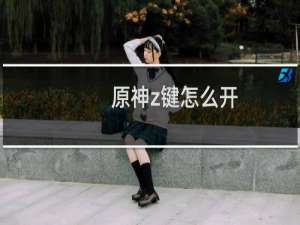 原神z键怎么开