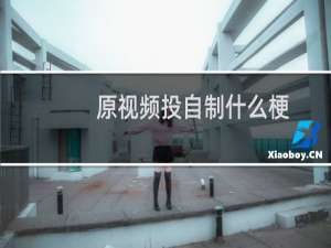 原视频投自制什么梗
