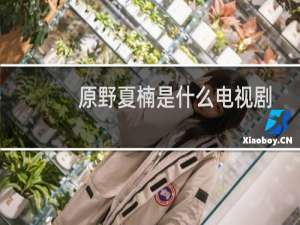 原野夏楠是什么电视剧