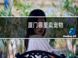 厦门哪里卖宠物