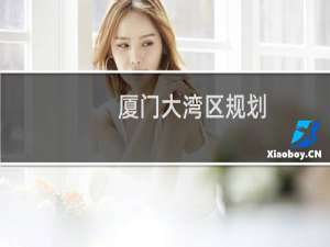 厦门大湾区规划