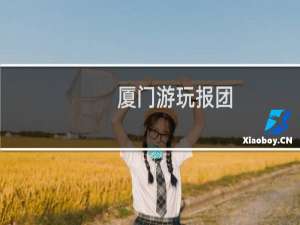 厦门游玩报团