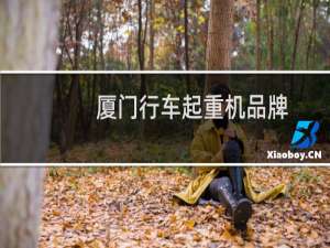 厦门行车起重机品牌
