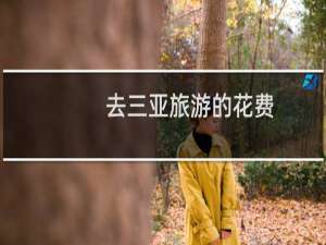 去三亚旅游的花费