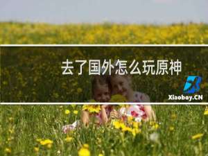 去了国外怎么玩原神