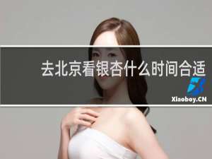 去北京看银杏什么时间合适