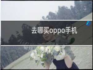 去哪买oppo手机