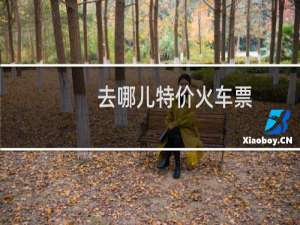 去哪儿特价火车票