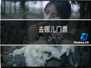 去哪儿门票