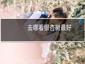 去哪看银杏树最好