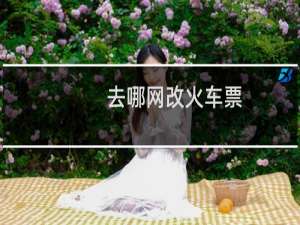 去哪网改火车票
