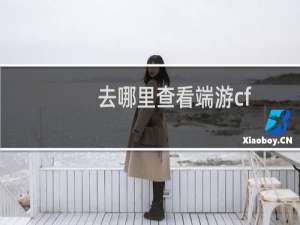去哪里查看端游cf