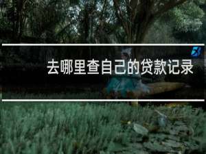 去哪里查自己的贷款记录